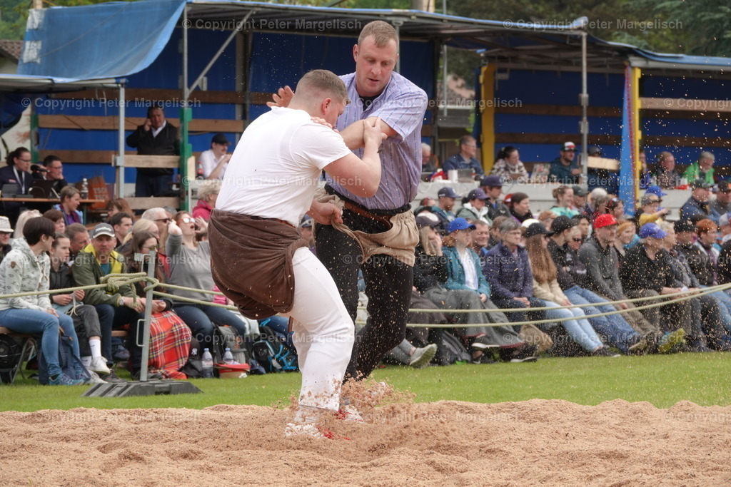 DSC04084 | Schwingen - Realisiert mit Pictrs.com