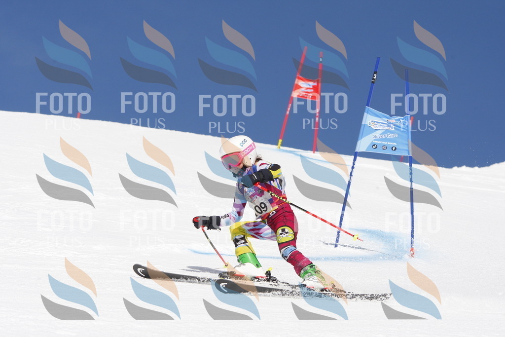 _W1G1636 | holidayphoto