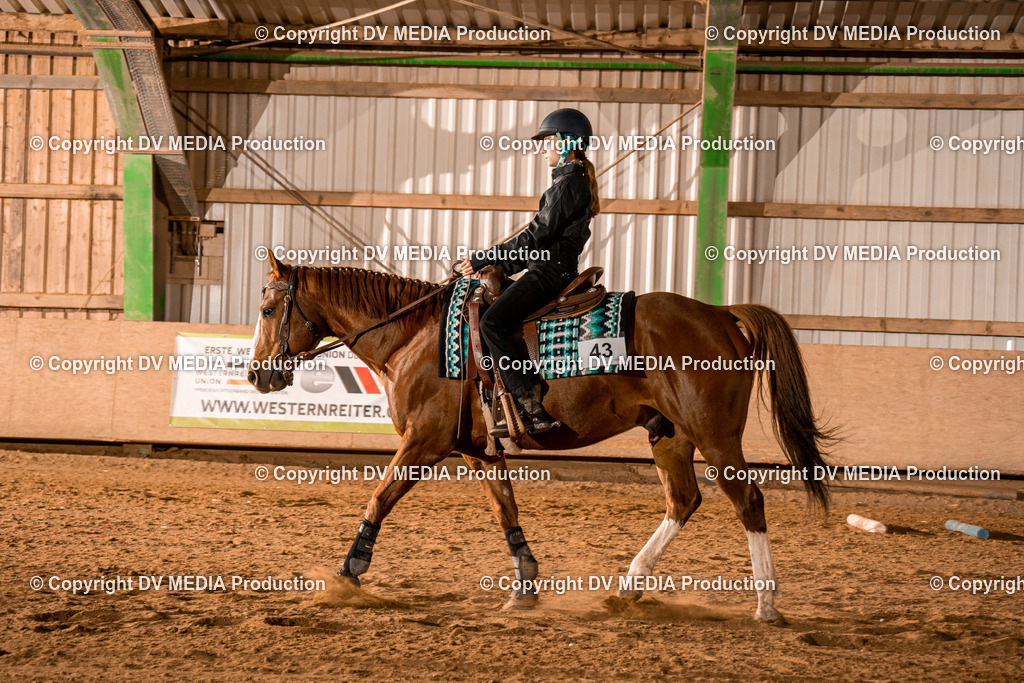 BAL03042 | dv-media-shop - Realisiert mit Pictrs.com