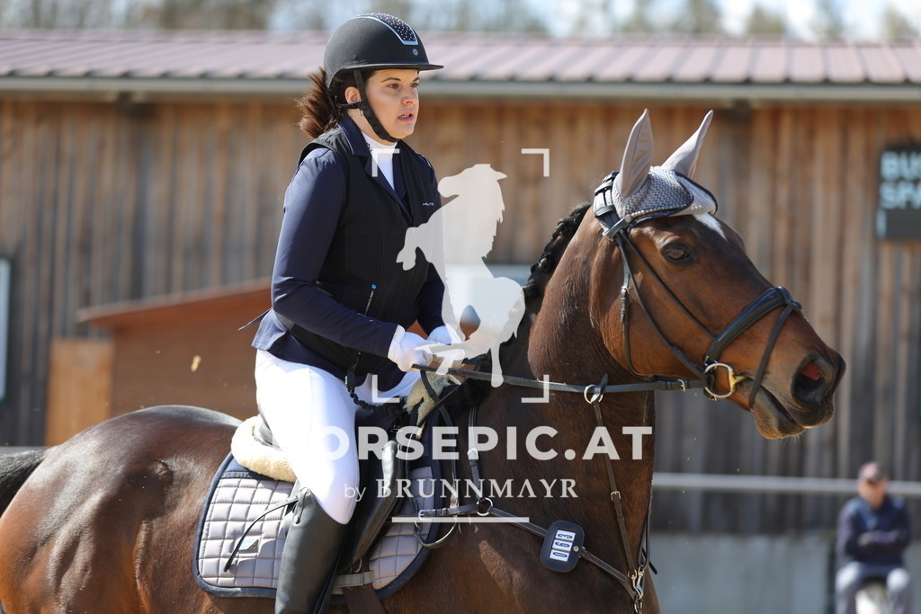 0P6A6864 | Willkommen bei Brunnmayr - Design & Fotografie – Ihrem Spezialisten für Reitturniere und Pferdeveranstaltungen in Oberösterreich, Salzburg und Bayern! Seit über 17 Jahren sind wir leidenschaftlich dabei.
