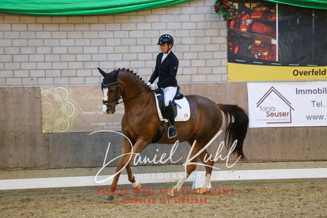 IMG_3008 | Turnierfotos kaufen im Webshop von Daniel Kuhl Photography – entdecke professionelle Reitsportfotos aus Turnieren & Events. Hochwertige Turnierbilder online bestellen & sichern. Jetzt Fotos von Reitsportturnieren kaufen!