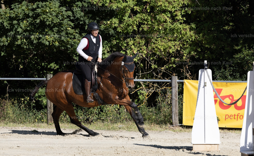 WL_Speed_140_KerstinBernhardt-6 | working equitationturnier fotograf videograf stoibphotography marixx film working equitation deutschland reitsport turnierfotografie eventfotografie equestrian events
