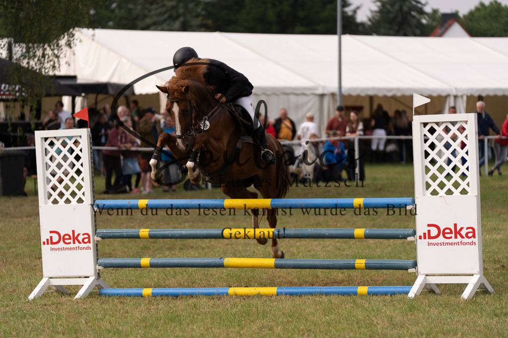 A7506045 | Turnier/Reitfotograf