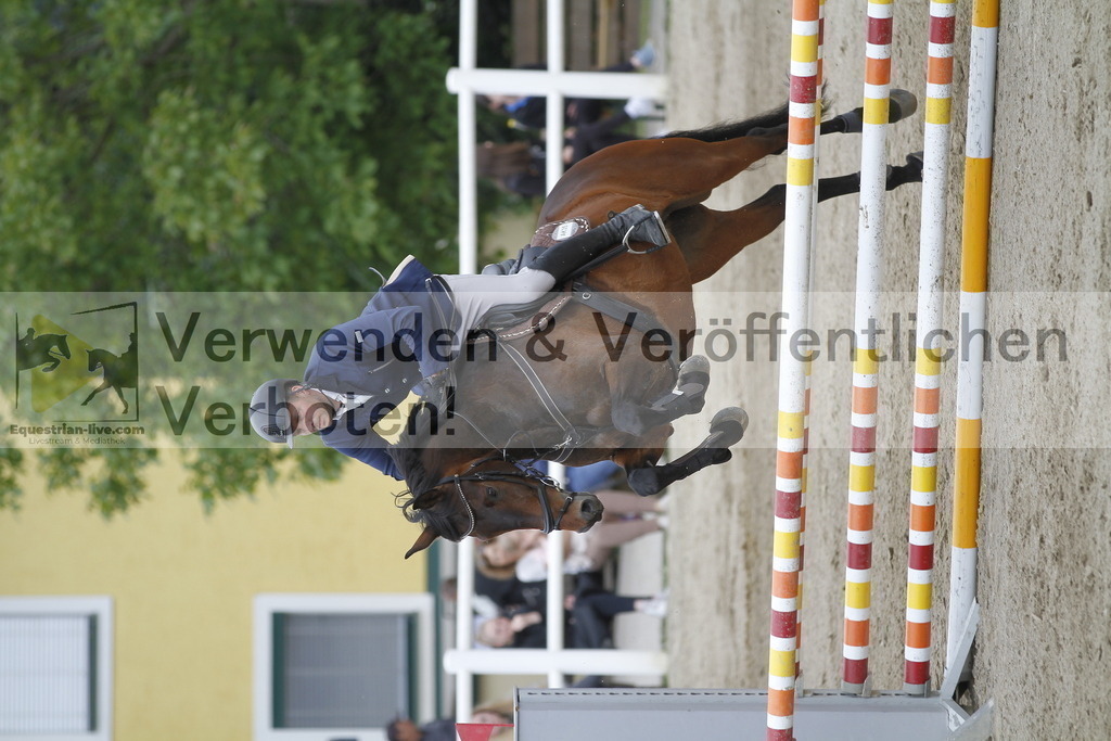_MG_1129 | equestrian-live-com