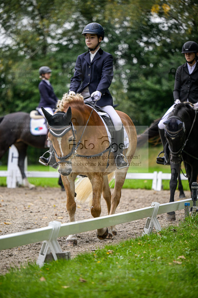 FOTO OGER | Entdecke hochwertige Reitturnierfotos von Foto Oger. Professionell, emotional und authentisch – jetzt Lieblingsmomente im Shop bestellen. - Realisiert mit Pictrs.com