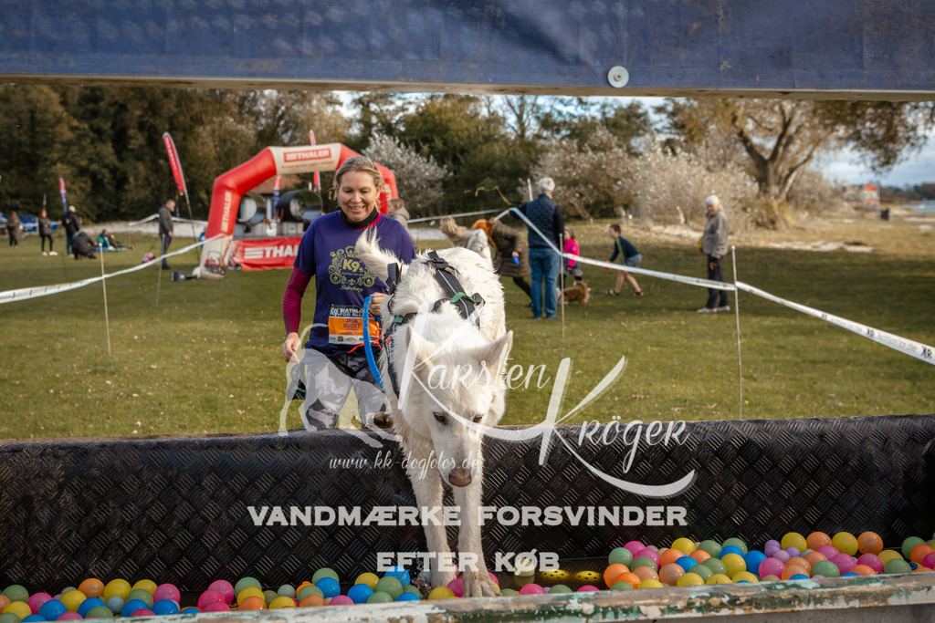 1600_ZZ97875 | kk-dogfotos