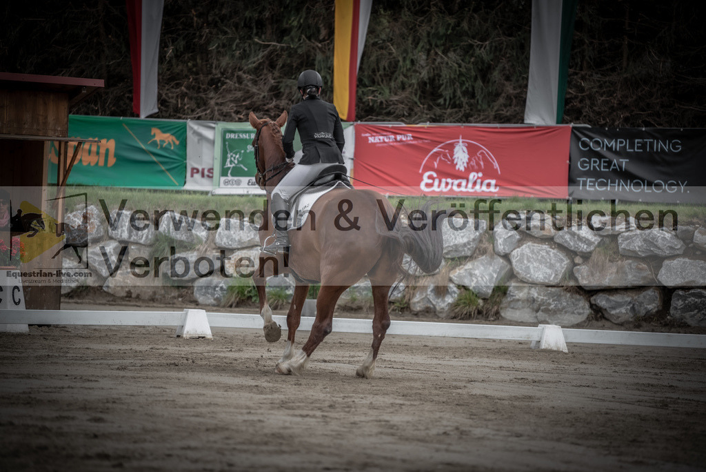 DSC_8953 | equestrian-live-com