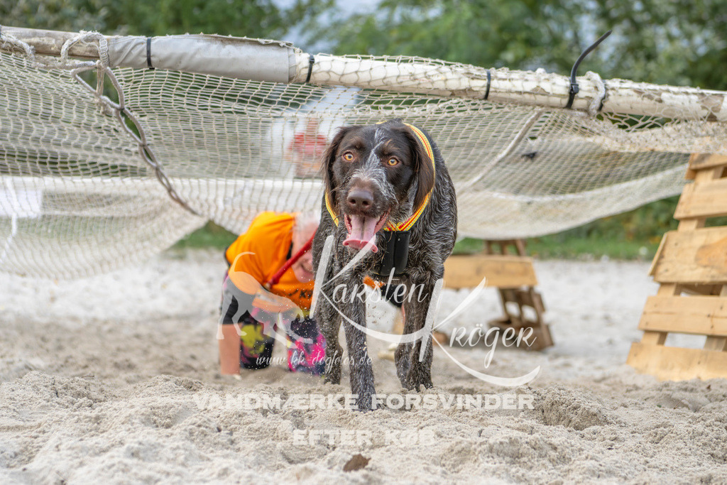 1129_ZZ97030 | kk-dogfotos