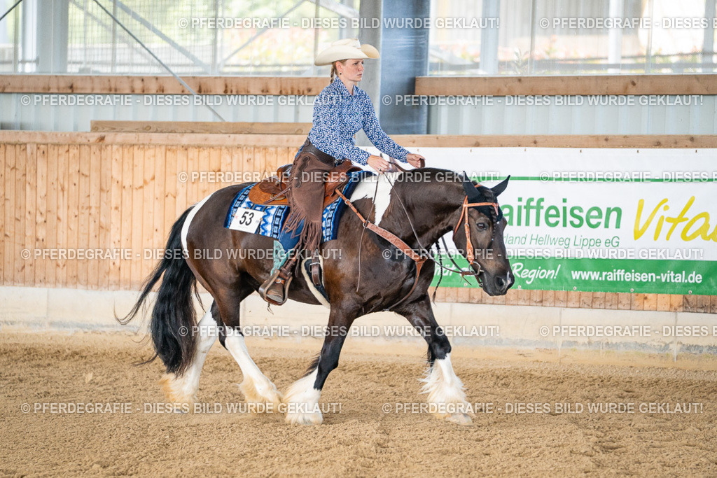 DSC02307 | Pferdegrafie