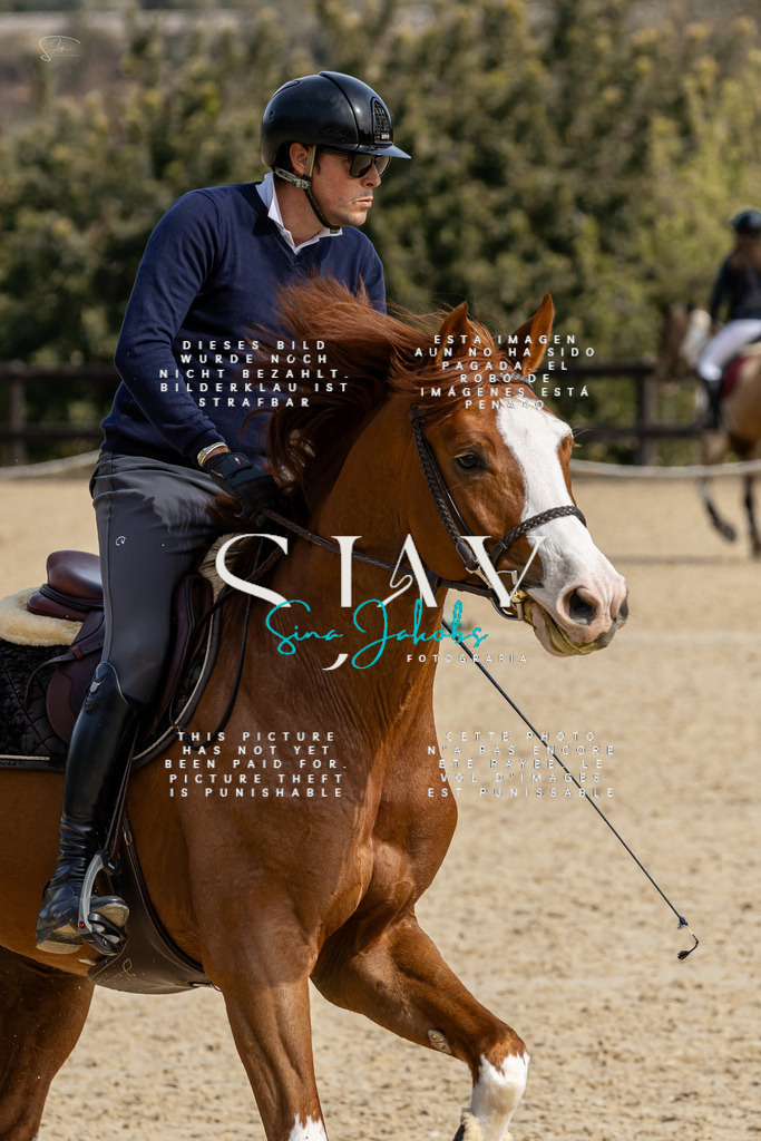 IMG_3227 | s-jay-photography - Realisiert mit Pictrs.com