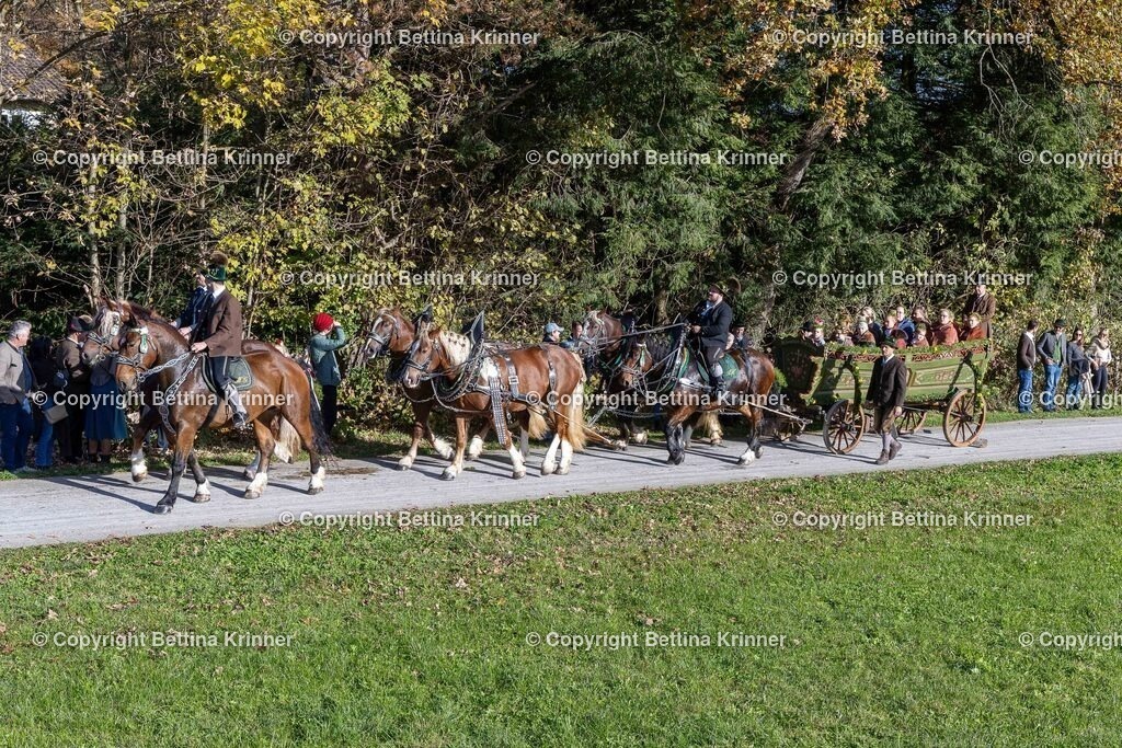 LBT24-705 | foto-bettina-krinner - Realisiert mit Pictrs.com