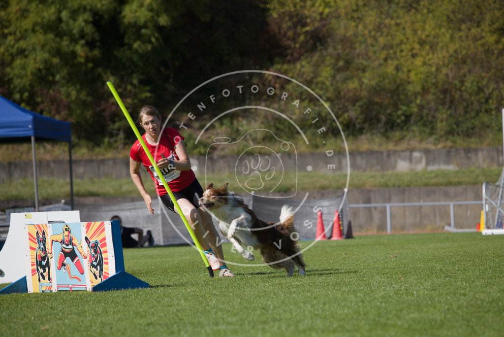 0L8A8073 | Hundefotografie, Tierfotograf, Pfotenfotografie, Fotoshooting Hund, Hunde Portrait, Hundesport, Hundeportraits, Heideshooting, Hunde, Sportfotograf, Hundefotograf, Turnierhundsport, THS,  - Realisiert mit Pictrs.com