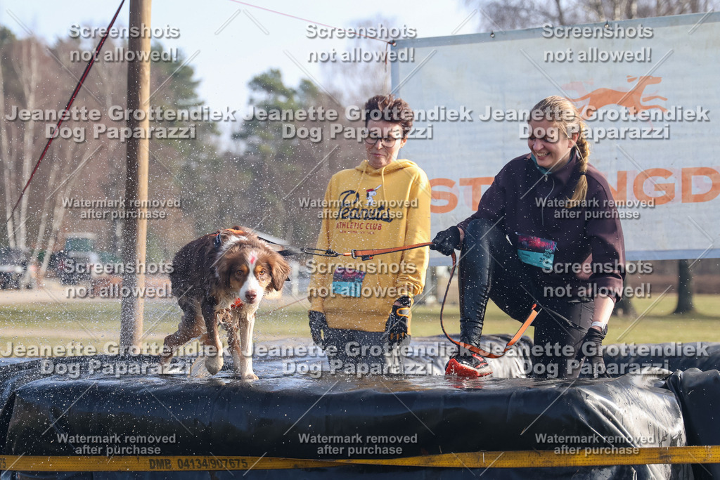 Dog Paparazzi - Strongdog North Mrz26-764 | Dog Paparazzi Jeanette Grottendiek Fotografie & Videografie - Realisiert mit Pictrs.com