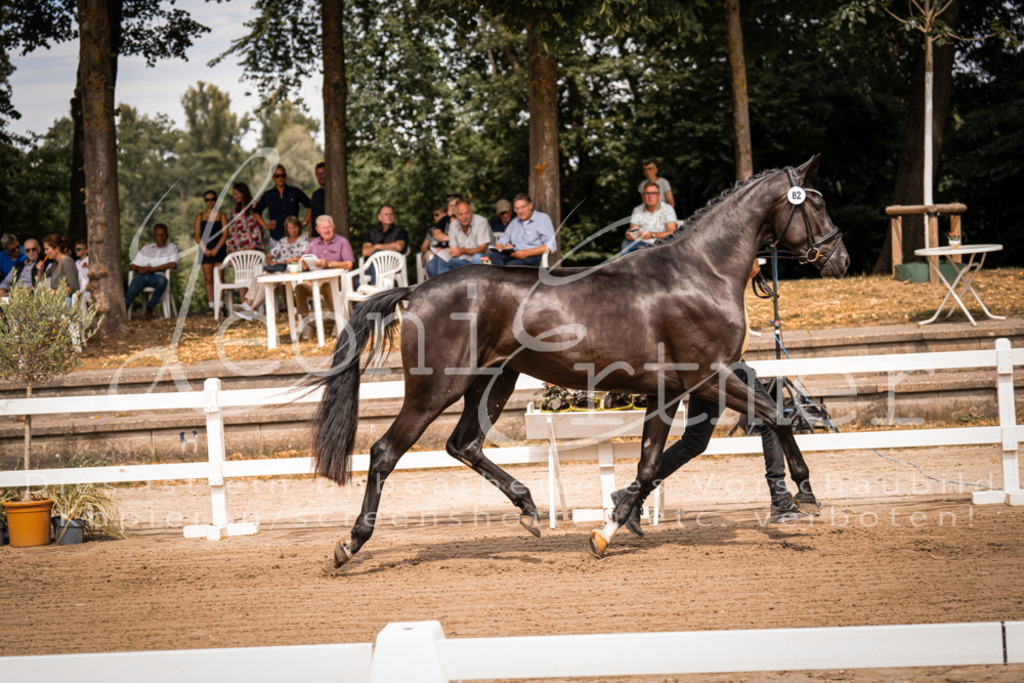 4.Fr00119 | Leoni Ertmer Photography - Realisiert mit Pictrs.com