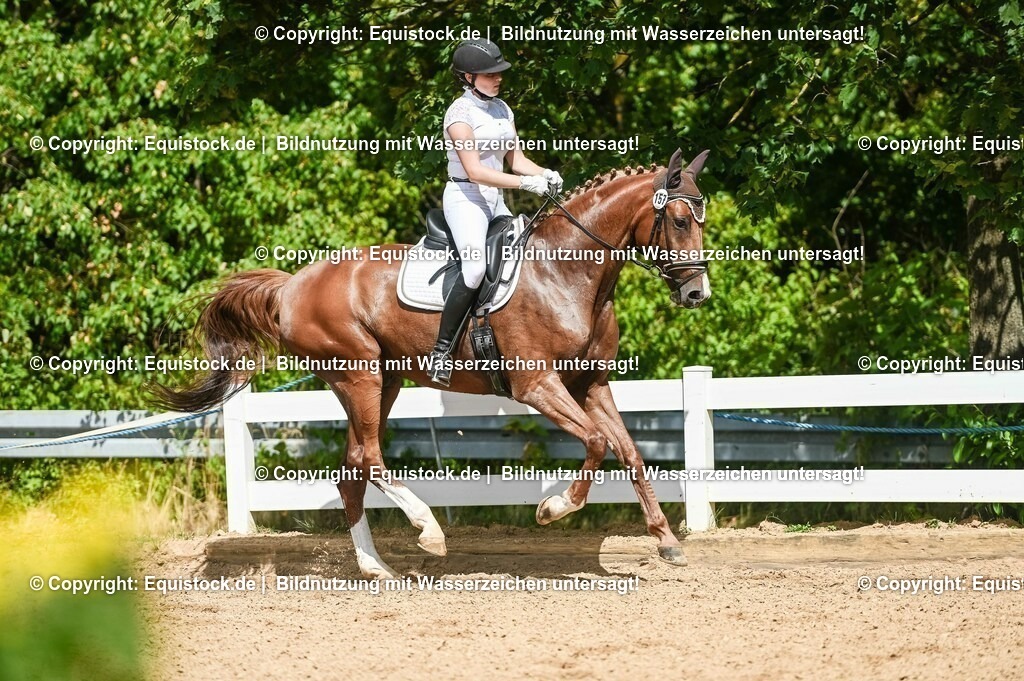 20230715_02_Dressurreiterprüfung Kl.L_0242 | equistock