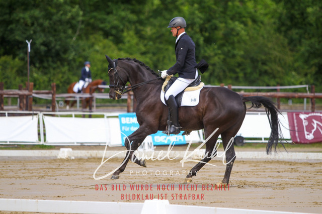 DKP40722 | Turniersportfotografie; Pferdefotografie; Dressurfotografie