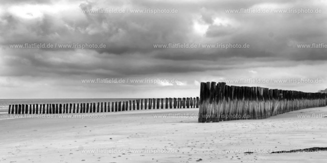 Holzpfähle im Meer bei Wissant I | Gesehen in der Normandie