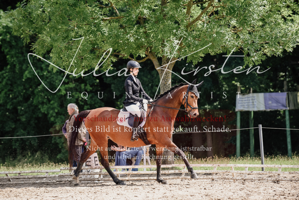 DSC_1019 | Pferde- und Turnierfotografie in Westsachsen. Pferdeportraits, Auftragszeichnungen und intuitive Kunst.