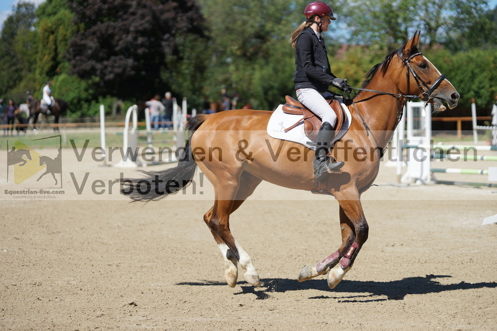 DSC07509 | equestrian-live-com