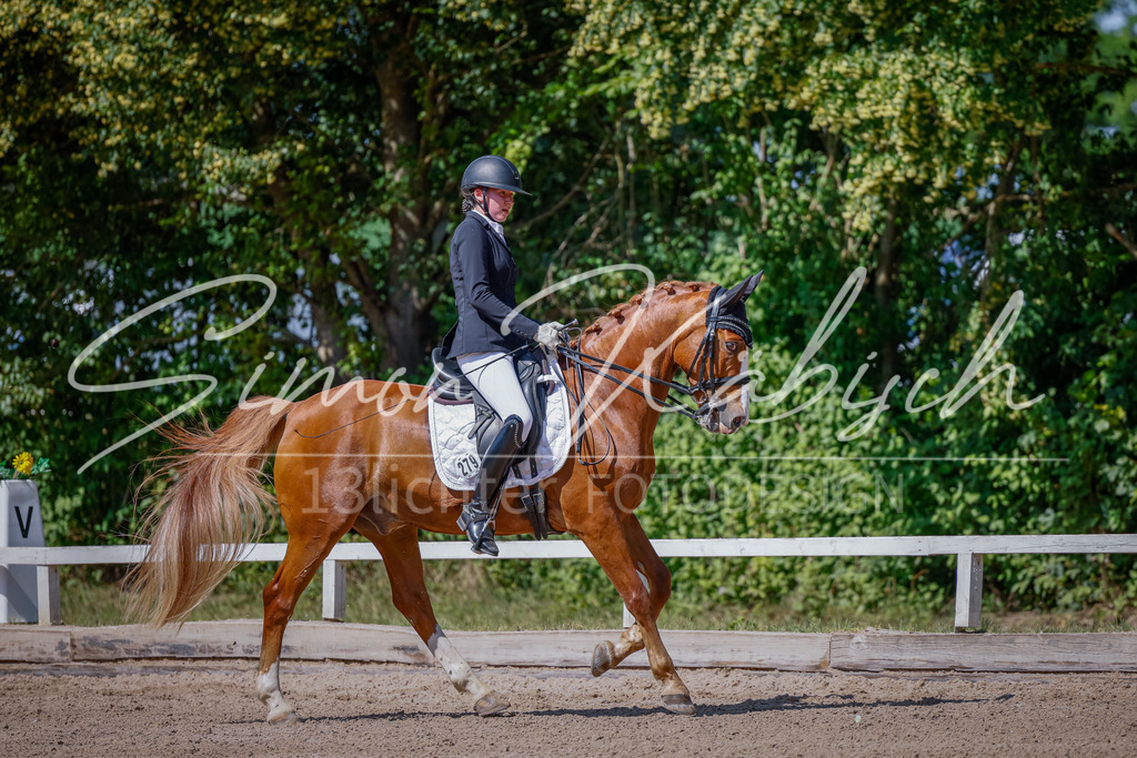 20250621-_3LI9411 | Tierfotografie Pferde, Hunde, Katzen, Haustiere.
Turnierfotografie Reitturniere, Reiten, Springreiten, Dressur in Hanau, dem Main-Kinzig-Kreis und dem Rhein-Main- Gebiet um Frankfurt
