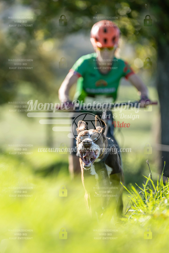 MompixPhotography_20TSB_E3_DS1-30 | PayLife