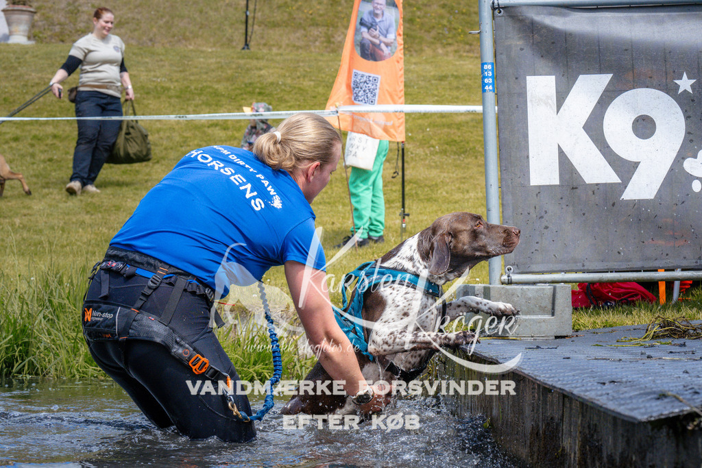 _ZZ993951053 | kk-dogfotos