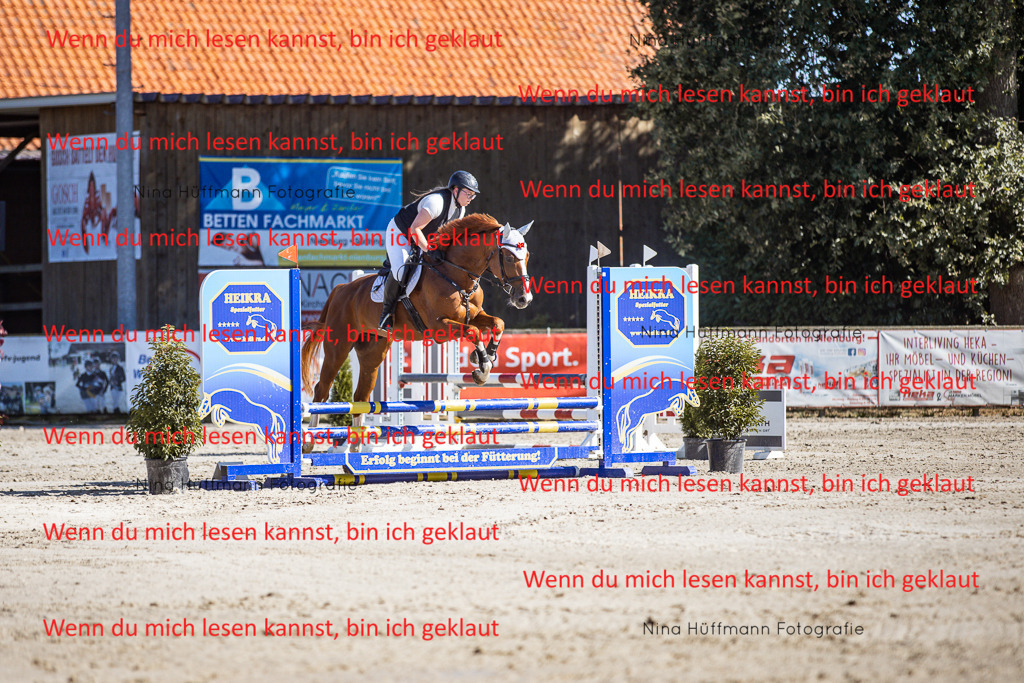 BK1A7972 | Turnierbilder Turnierfotos Nina Hüffmann Turnierfotografie Pferdefotografie Tierzeichnung Haustierzeichnung Pferdezeichnung Hundezeichnung Videograf  - Realisiert mit Pictrs.com
