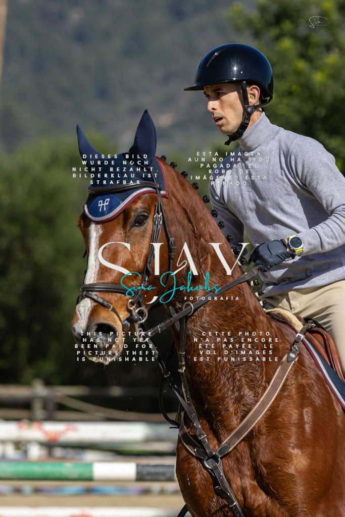 IMG_6562 | s-jay-photography - Realisiert mit Pictrs.com