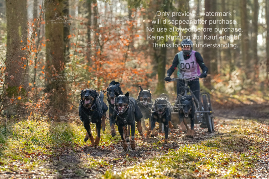 So_Gespanne-17 | stephaniefillaphotographie - Realisiert mit Pictrs.com