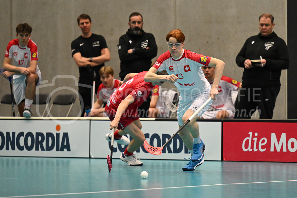 Switzerland B U19 vs Switzerland U19 - 4. February 2024 | Switzerland B U19 vs Switzerland U19
U19 Men International Matches in Switzerland
GoEasy Arena, Siggenthal Station
Switzerland forward #13 Levi Walser.
Credit: Markus Aeschimann | <a href="https://www.markus-aeschimann.ch">Sportfotografie Markus Aeschimann</a> | <a href="https://www.instagram.com/sportfotografie.aeschimann">@sportfotografie.aeschimann</a> - Realisiert mit Pictrs.com