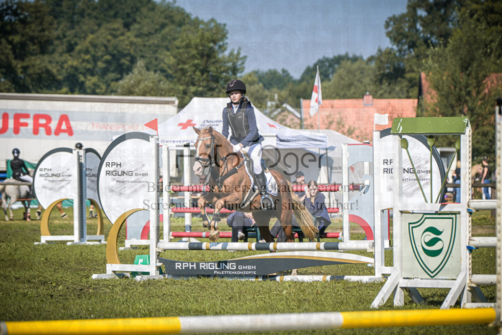 DOS_0524 | Entdecke hochwertige Reitturnierfotos von Foto Oger. Professionell, emotional und authentisch – jetzt Lieblingsmomente im Shop bestellen.Deutschlandweite Turnierfotografie. - Realisiert mit Pictrs.com
