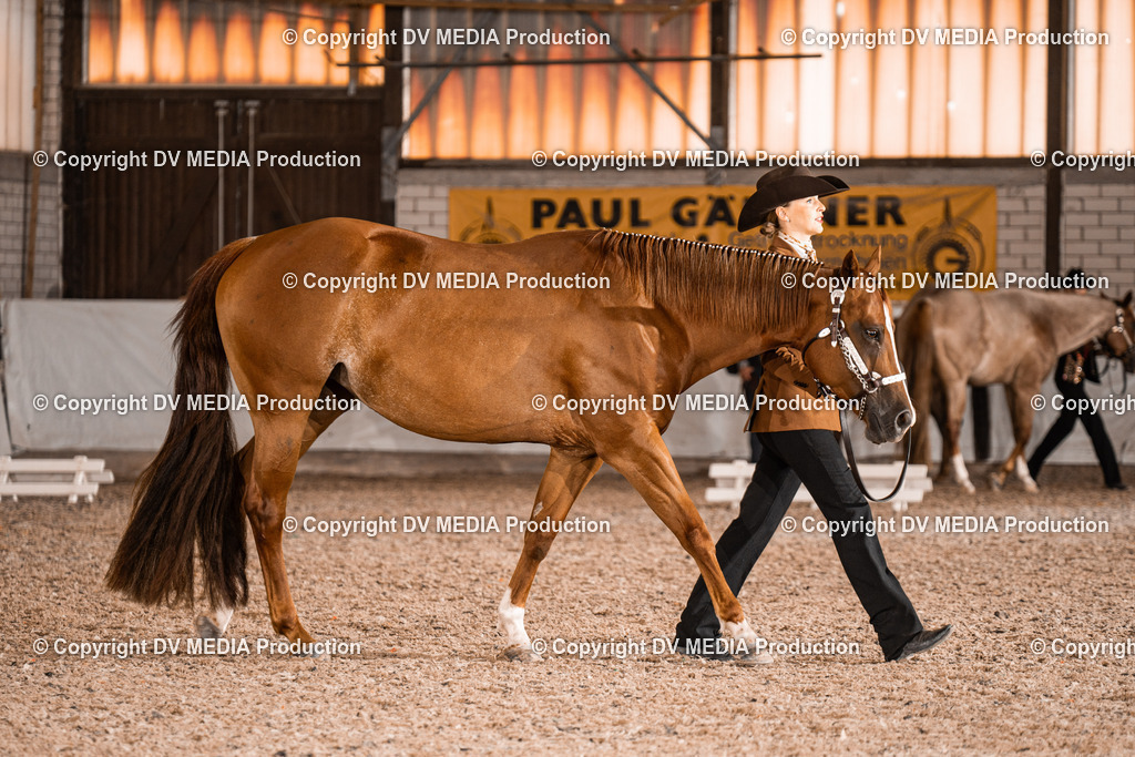 ZH200279 | dv-media-shop - Realisiert mit Pictrs.com