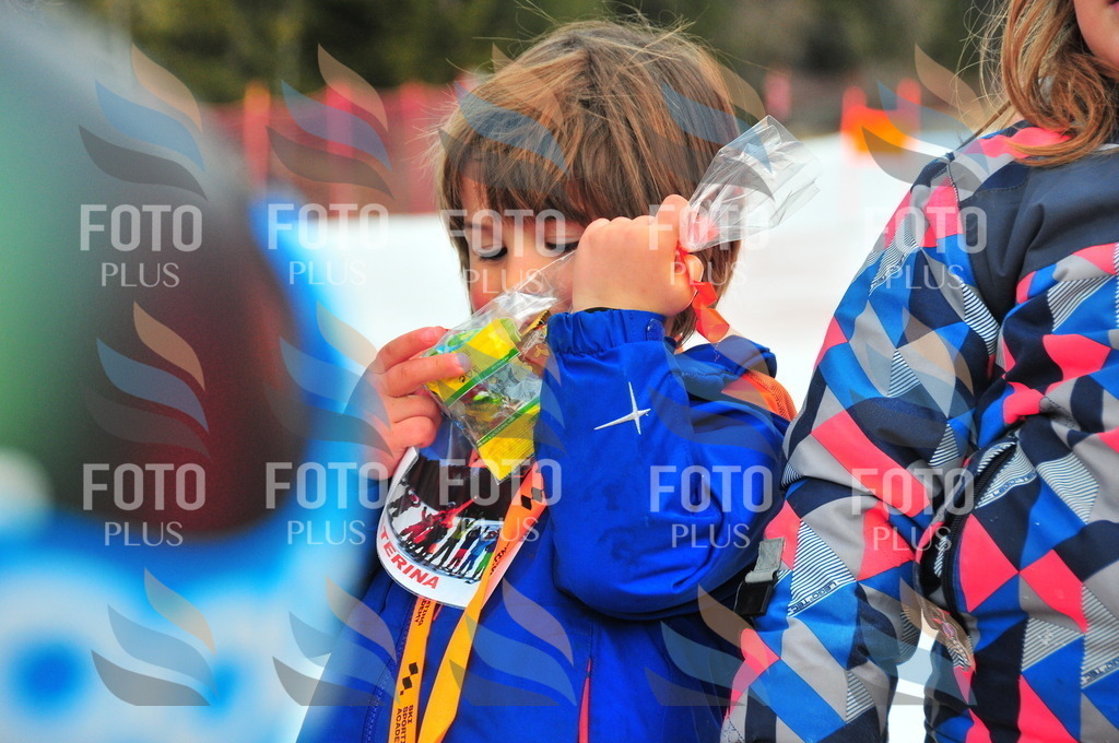 C1519 | holidayphoto