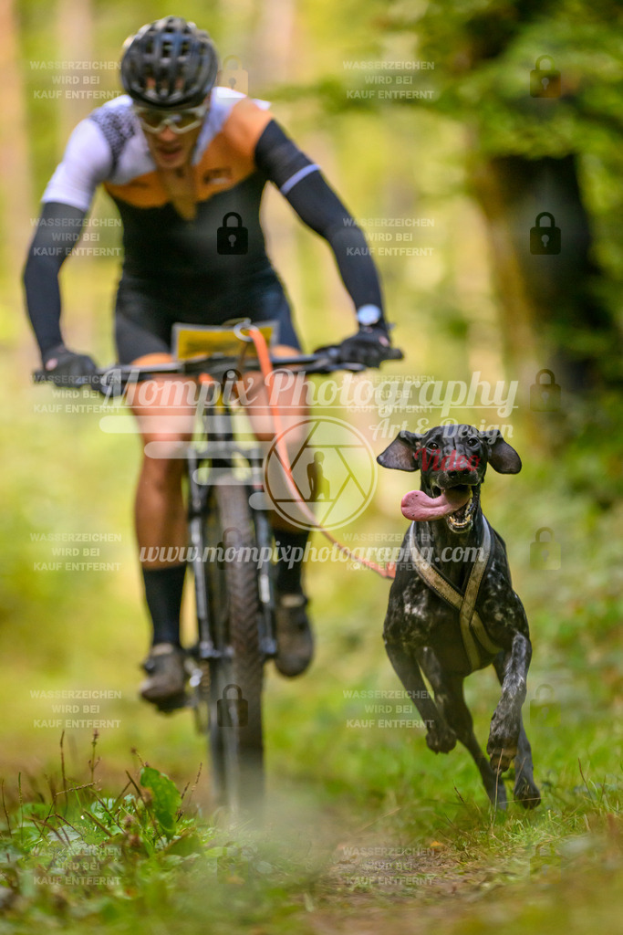 MompixPhotography_Yens2025_B2-62 | PayLife