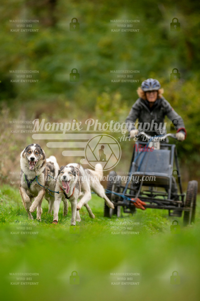 TSB_2023_E6_Kart-12 | PayLife