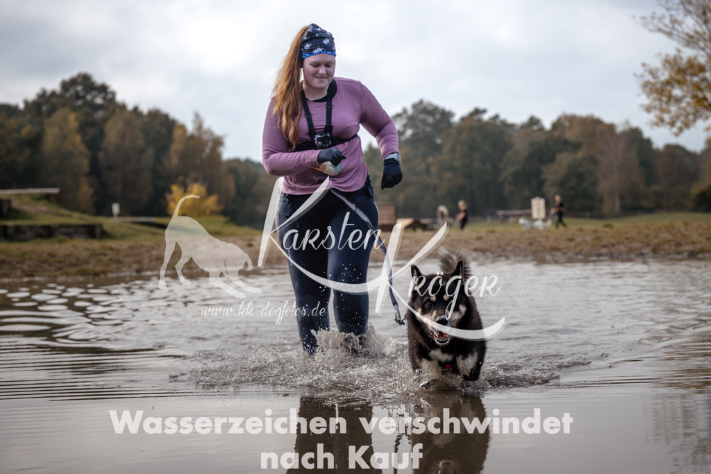 1339_ZZ94452 | kk-dogfotos