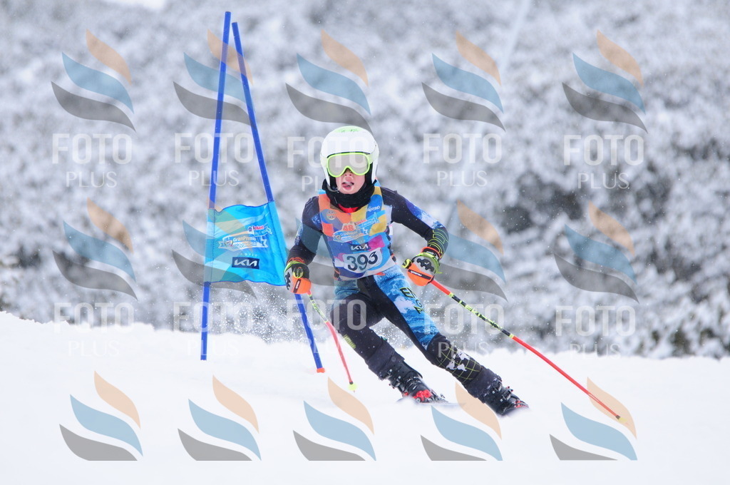 C4159 | holidayphoto