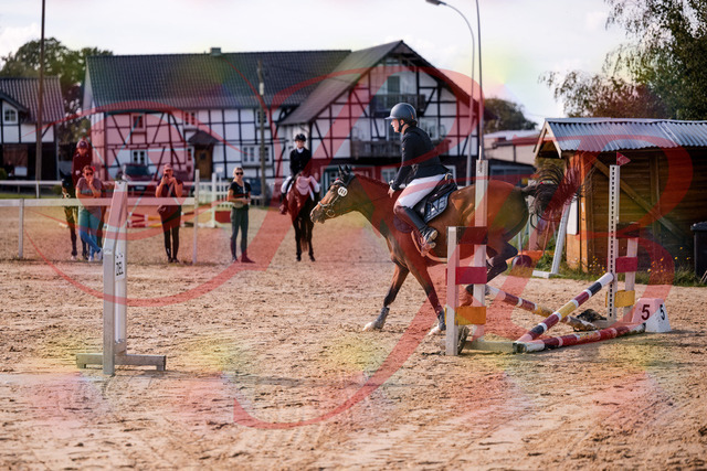 2026_10_03_Siefer-Hof_145727_Z81_39205997 | Professionelle Reitsport-, Turnier- und Eventfotografie von Robert Broda. Galerien mit ausgewählten und bearbeiteten Bildern direkt online ansehen und bestellen.