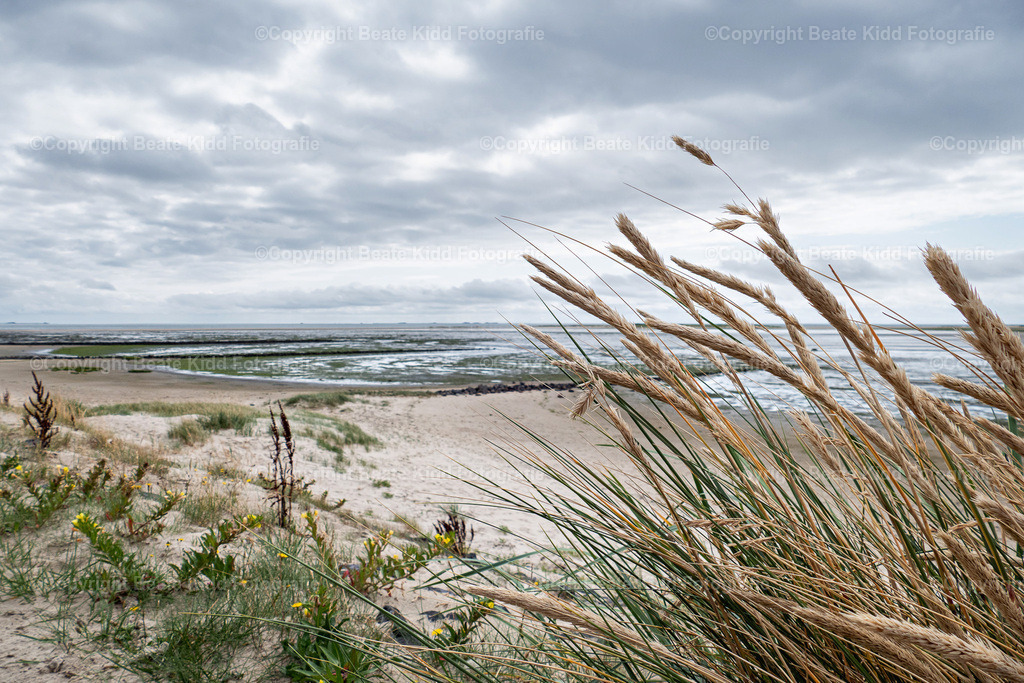 P1810293 | beatekidd-fotografie - Realisiert mit Pictrs.com