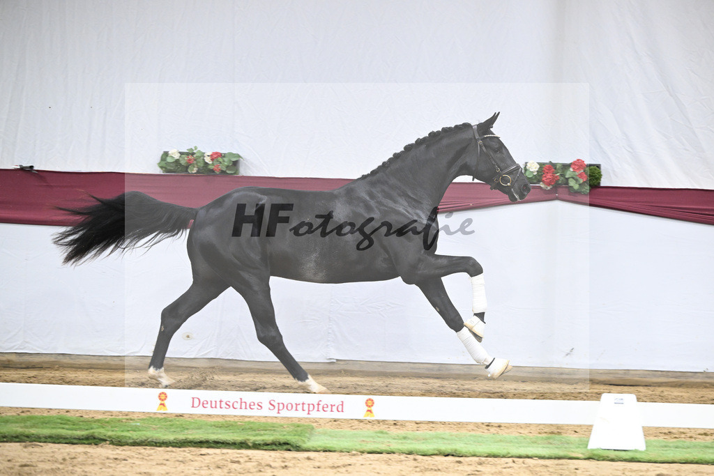 Kat-Nr. 40 Segantini x Fidertanz_Thomas Casper_47251419 | hf-fotografie - Realisiert mit Pictrs.com