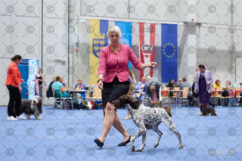 202406_ÖKV-IHA-Tulln24_DSC_3389 | proPHOTO - Realisiert mit Pictrs.com