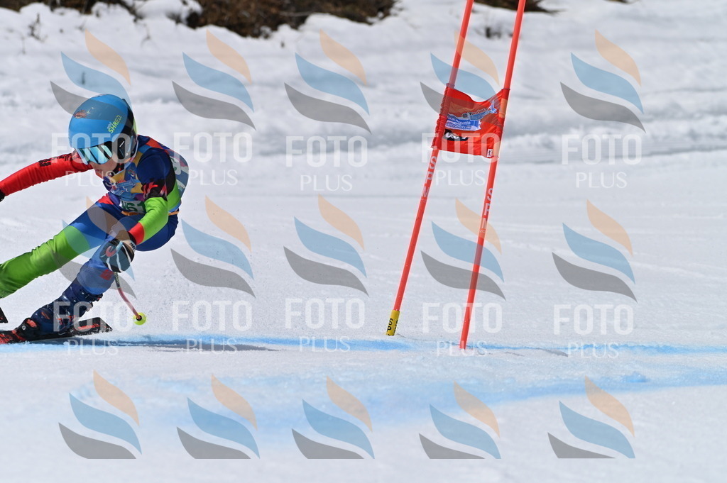 BGV_7153 | holidayphoto