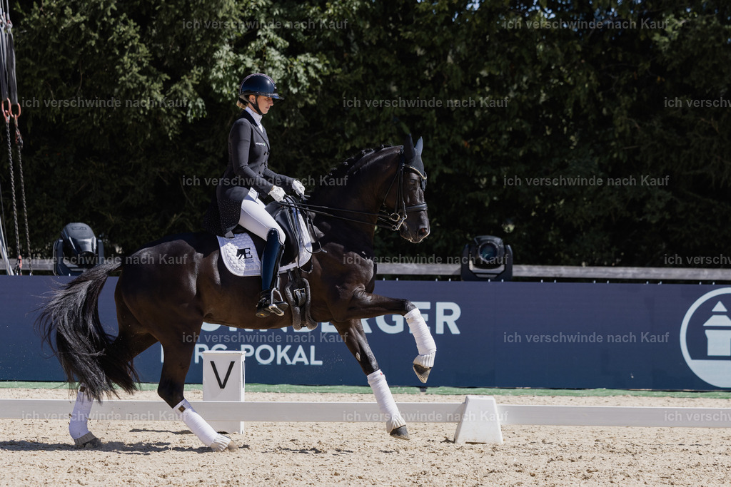 FHC2026_P12_Siegerehrung_19614 | working equitationturnier fotograf videograf stoibphotography marixx film working equitation deutschland reitsport turnierfotografie eventfotografie equestrian events