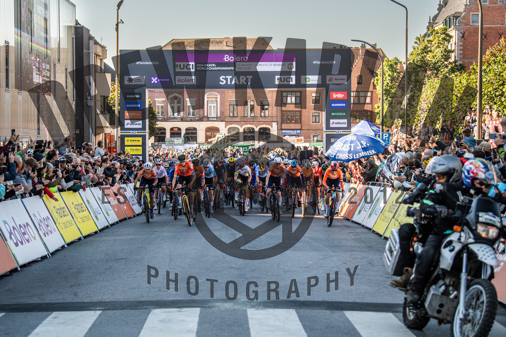 DKP-7291 | Drew Kaplan Photography
