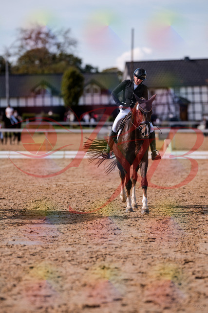 2026_10_03_Siefer-Hof_132634_Z81_80410182 | Professionelle Reitsport-, Turnier- und Eventfotografie von Robert Broda. Galerien mit ausgewählten und bearbeiteten Bildern direkt online ansehen und bestellen.