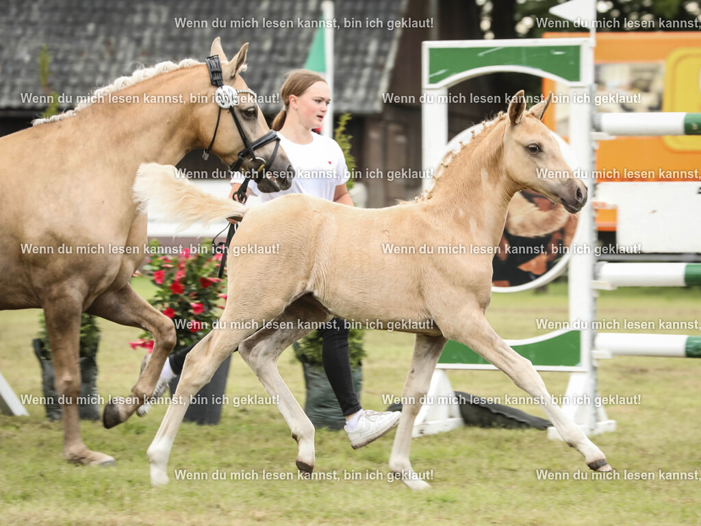 598A1730 | photographylinaismer - Realisiert mit Pictrs.com