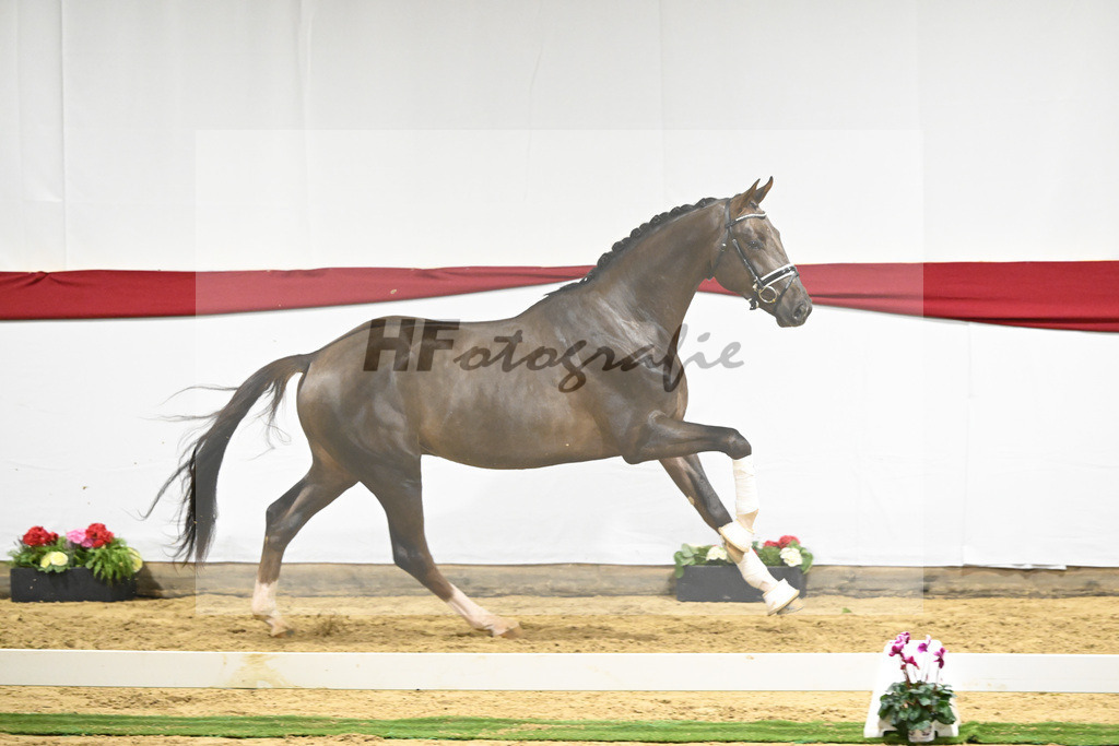 Kat-Nr. 66 v. Revolution_Reuner-Krebs_63221950 | hf-fotografie - Realizzato con Pictrs.com