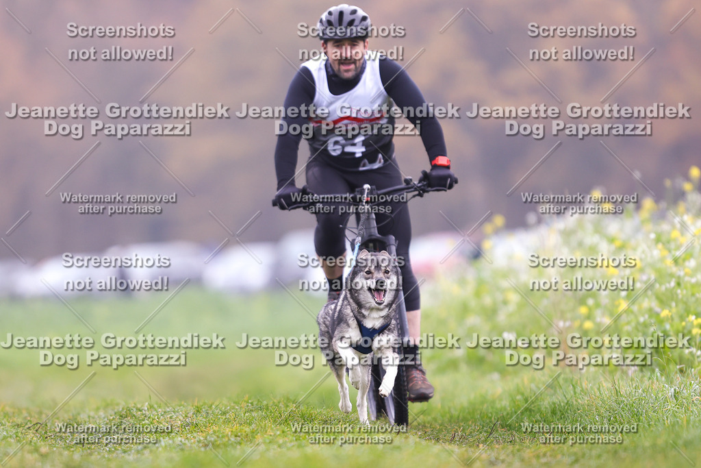 Dog Paparazzi - Visbeck 25 -189 | Dog Paparazzi Jeanette Grottendiek Fotografie & Videografie - Realisiert mit Pictrs.com