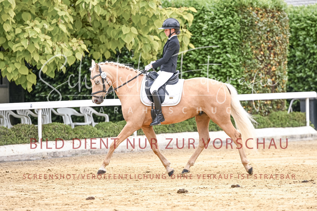 Schugtsche-Aluta25-42.EDressur -308 | Schugtsche Fotografie - Realisiert mit Pictrs.com