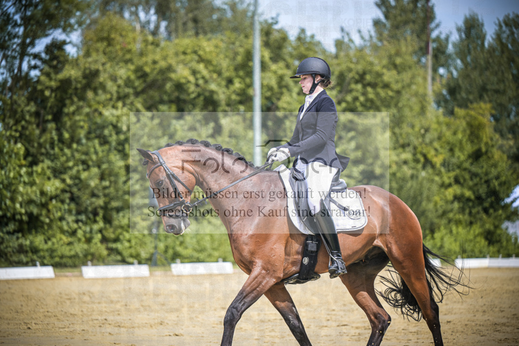 DOS_2839 | Entdecke hochwertige Reitturnierfotos von Foto Oger. Professionell, emotional und authentisch – jetzt Lieblingsmomente im Shop bestellen.Deutschlandweite Turnierfotografie. - Realisiert mit Pictrs.com